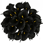 Fleurs artificielles Calla Lys Noir