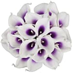 Fleurs artificielles Calla Lys Blanc et violet