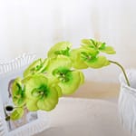 Fleurs artificielles Orchidées Vert 5