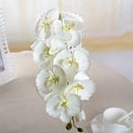 Fleurs artificielles Orchidées Blanc 5