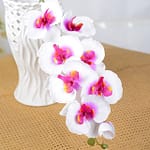 Fleurs artificielles Orchidées Blanc/fushia 5