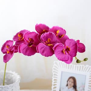 Fleurs artificielles Orchidées Fushia 5